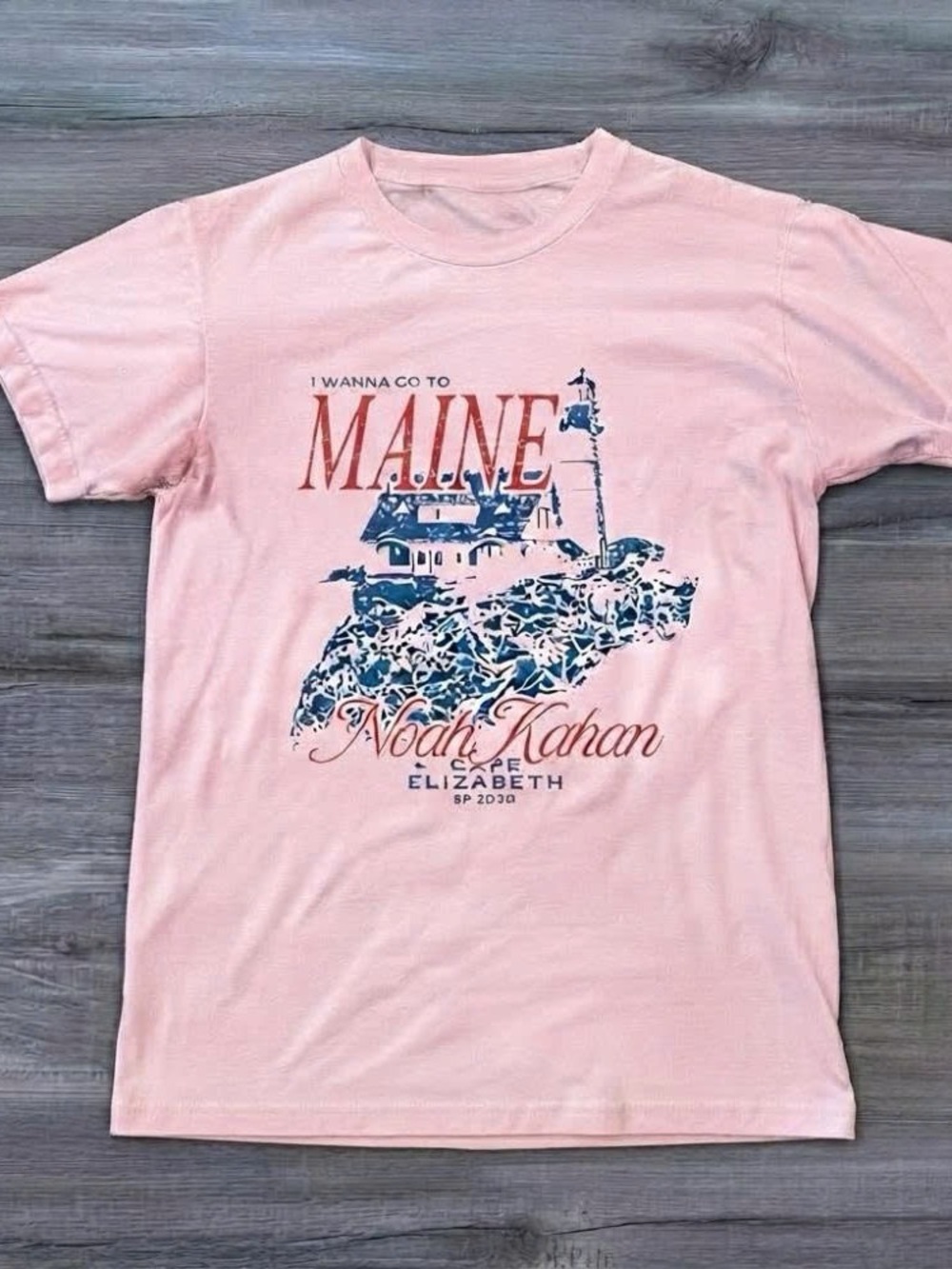 Gildan Pink Graphic Tee - Cape Elizabeth